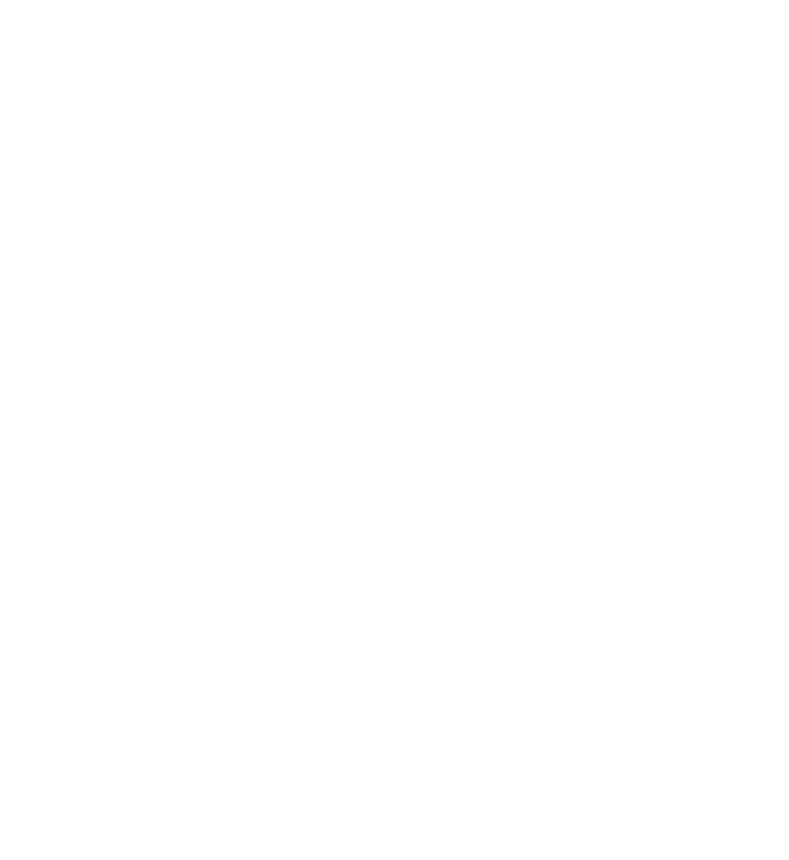 Tvillingen